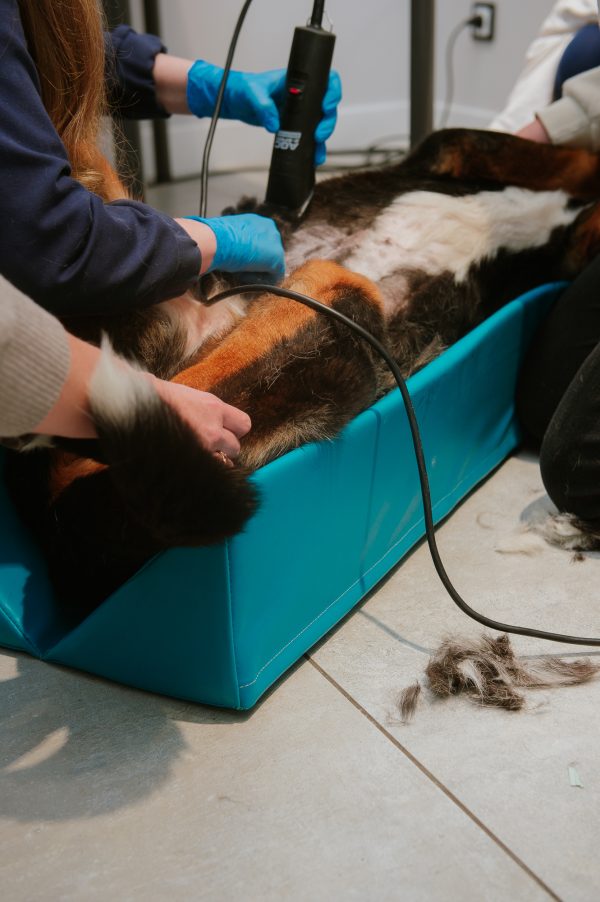 Diagnostic positioner - L - Image 9