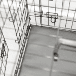 Custom-sized veterinary mattresses for cages and tables