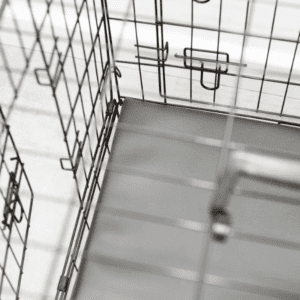Custom Veterinary Mattresses