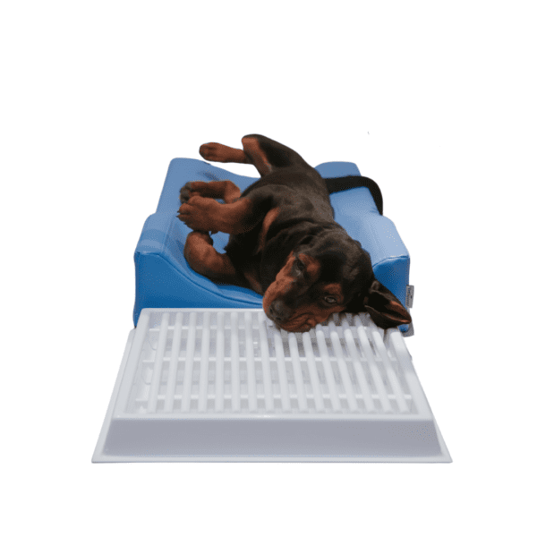Dental positioner - M