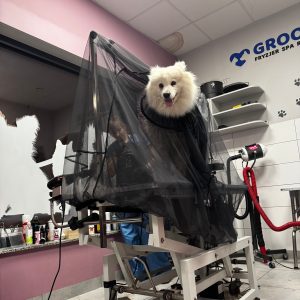 Rete per tavolo da toelettatura - DogHair Catcher