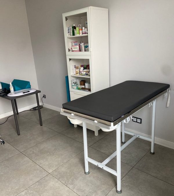 Attrezzare uno studio veterinario: quali accessori vale la pena acquistare? (traduzione in italiano)
