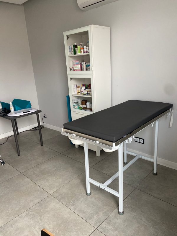mattress for veterinary table with fastening as Veterinary practice equipment